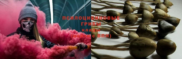 тгк Алексеевка