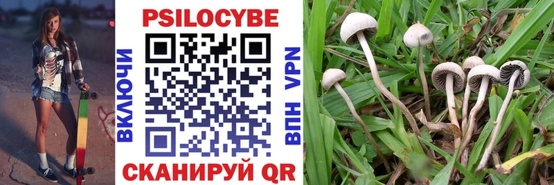 Псилоцибиновые грибы Magic Shrooms  цены наркотик  Иркутск 